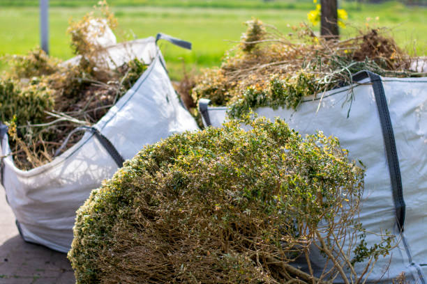 Best Furniture Removal Near Me  in Lake Wales, FL